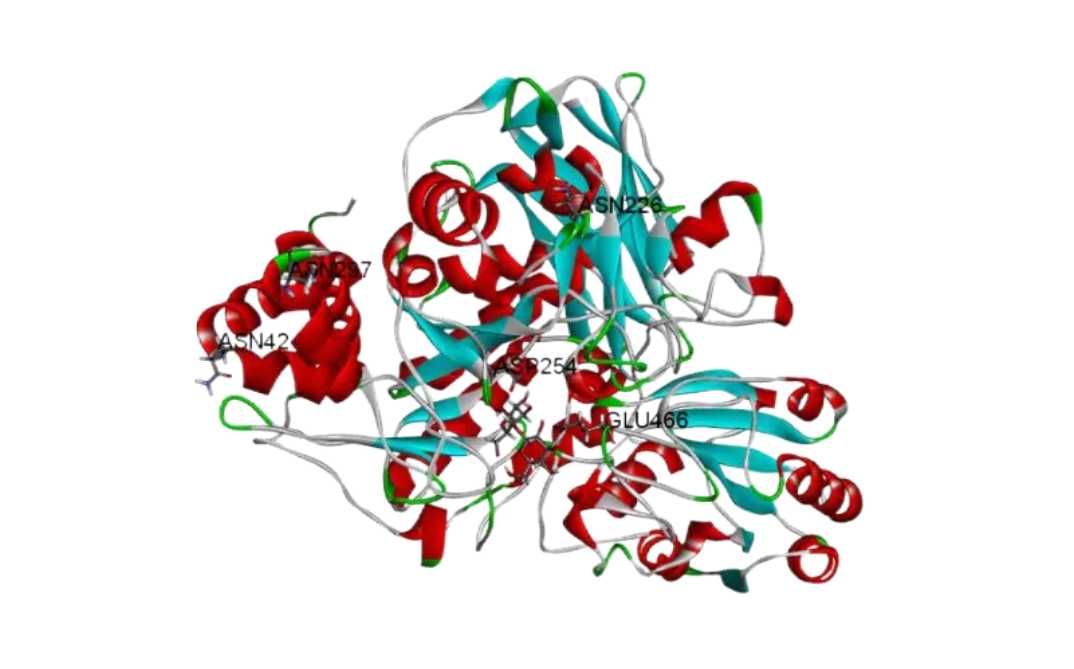Optimize enzyme genes