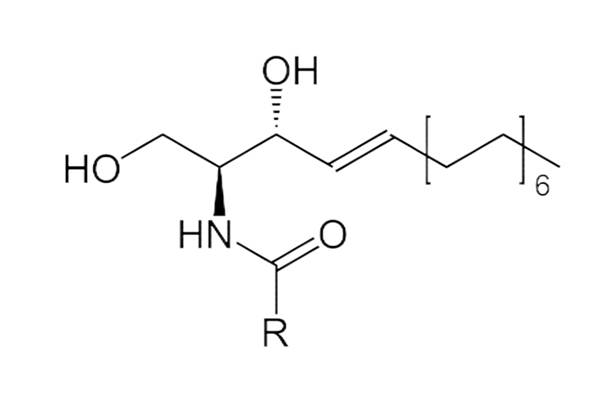 product-view2-1